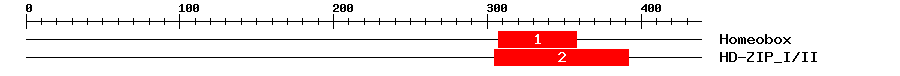 Signature Domain