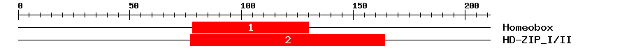 Signature Domain