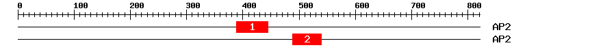 Signature Domain