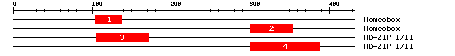 Signature Domain