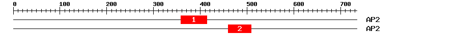 Signature Domain