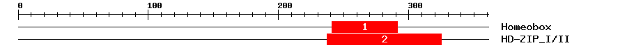 Signature Domain