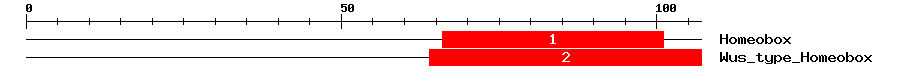 Signature Domain