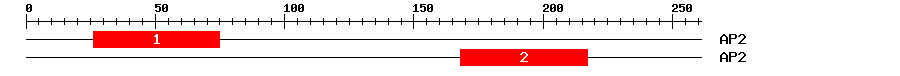 Signature Domain