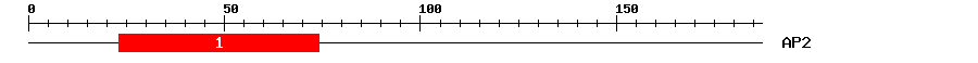 Signature Domain