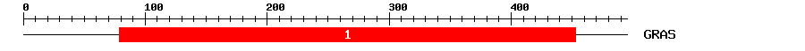 Signature Domain