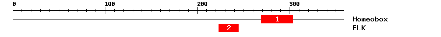 Signature Domain