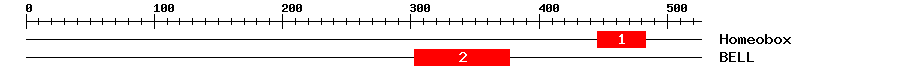 Signature Domain