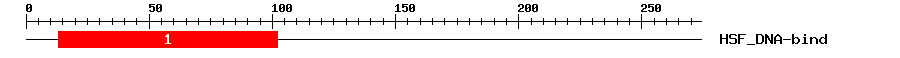 Signature Domain