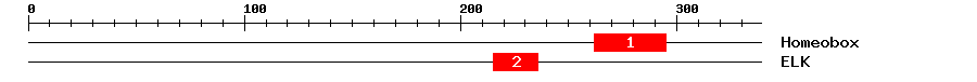 Signature Domain