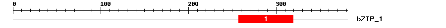 Signature Domain