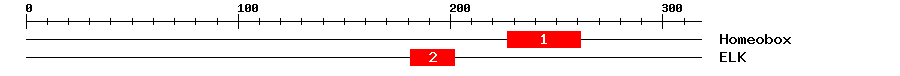 Signature Domain