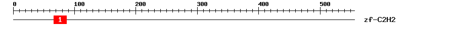 Signature Domain