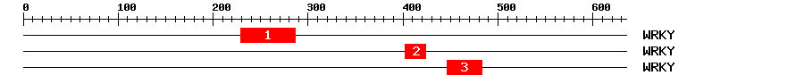 Signature Domain