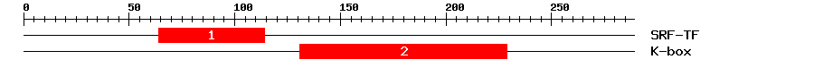 Signature Domain