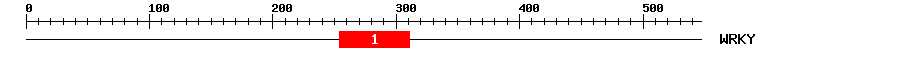 Signature Domain