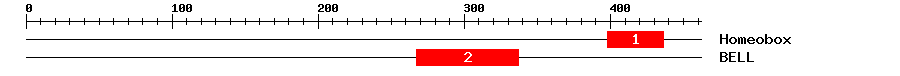 Signature Domain