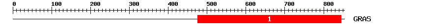 Signature Domain