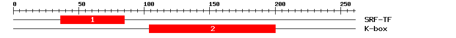 Signature Domain