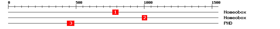 Signature Domain