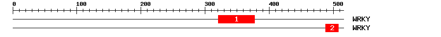 Signature Domain