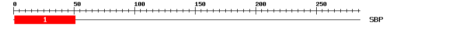 Signature Domain