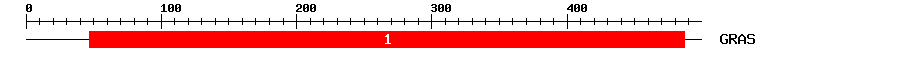 Signature Domain