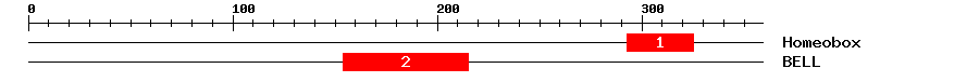 Signature Domain