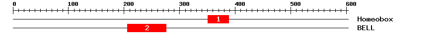 Signature Domain