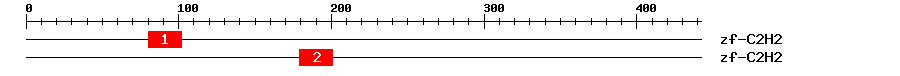 Signature Domain