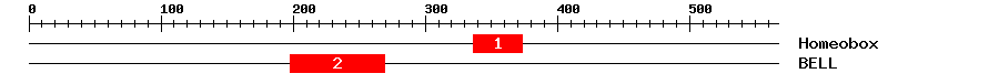 Signature Domain