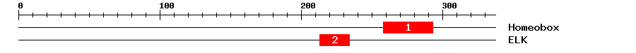Signature Domain