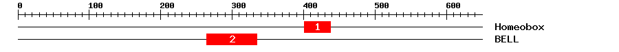 Signature Domain