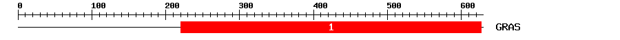 Signature Domain