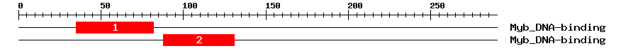 Signature Domain