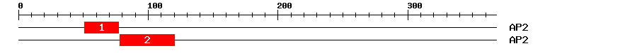 Signature Domain