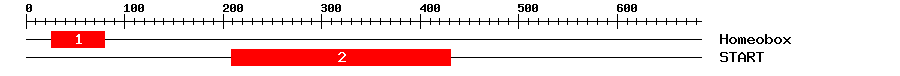 Signature Domain