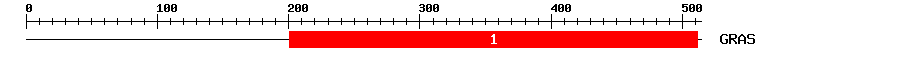 Signature Domain