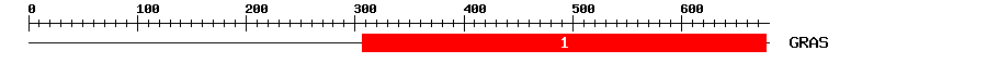 Signature Domain
