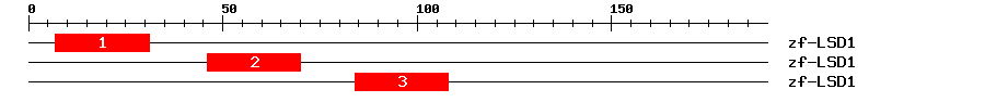 Signature Domain