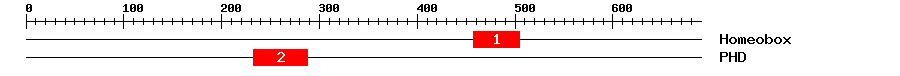 Signature Domain