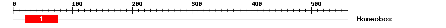 Signature Domain