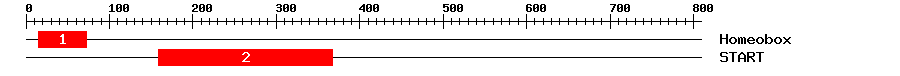 Signature Domain
