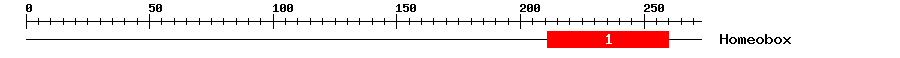 Signature Domain