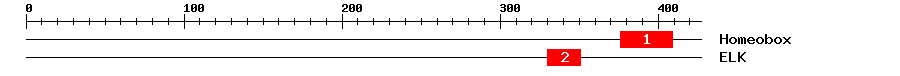 Signature Domain