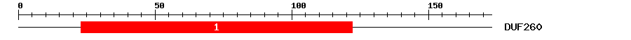 Signature Domain