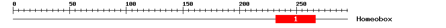 Signature Domain