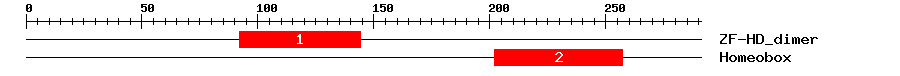 Signature Domain