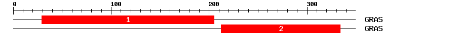 Signature Domain