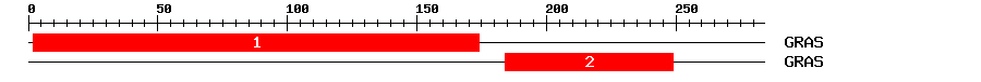 Signature Domain